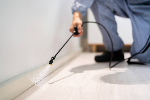 Professional exterminator conducting IPM assessment in Chickasaw
