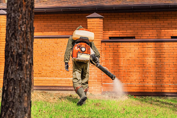 Top rated local Mosquito Control specialists in Chickasaw, AL